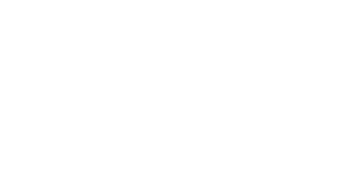 Vince Vice Logo